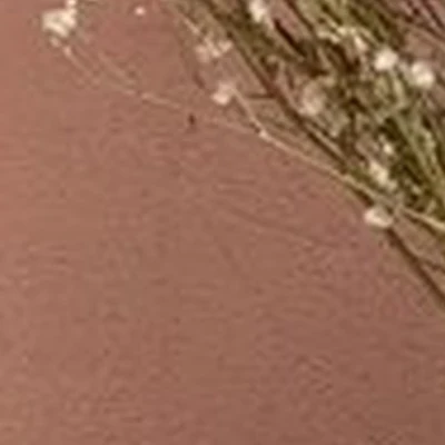 Beauty Fox в Челябинске Либкнехта, 2