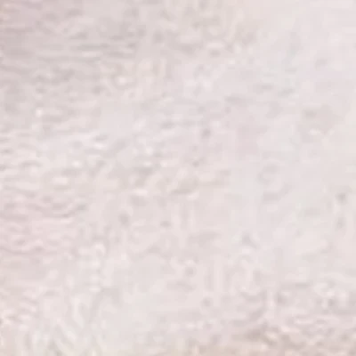 Anlex