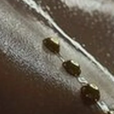 Blackberry в Сургуте Тюменский тракт, 19