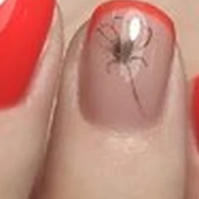 Safi в Костроме микрорайон Паново, 11Б