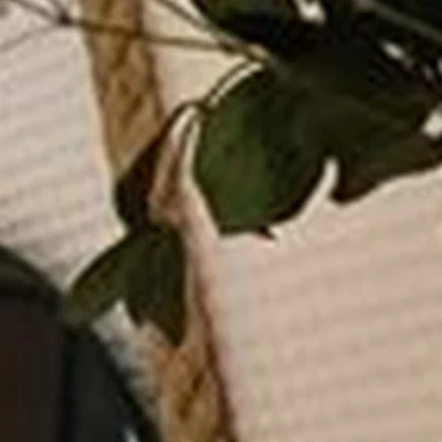 Relaxation time в Елизове улица Ленина, 15а