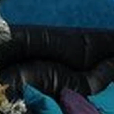 B.A.R Beauty.Art.Relax