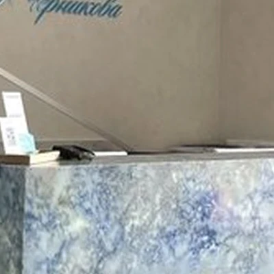 Доктор Черникова