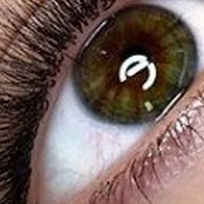 Pavlovskaya lash and brow