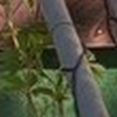 Лора в Черногорске Советская улица, 82