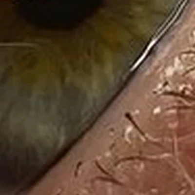 Студия перманентного макияжа и ламинирования ресниц и бровей