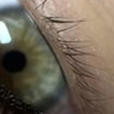Alfinura_lashes
