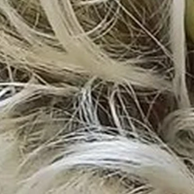 Be Queen в Полысаеве Волжская улица, 5а