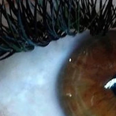 Кабинет эстетики взгляда