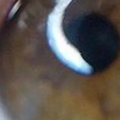 Beauty boutique в Санкт-петербурге улица Типанова, 27/39