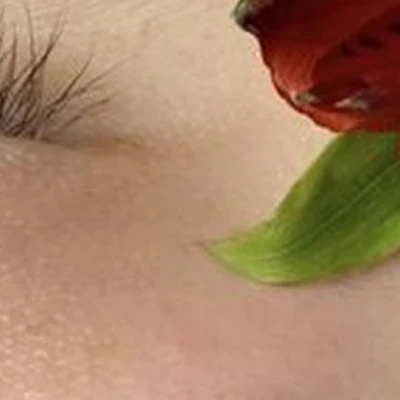 Lena_brows_pm