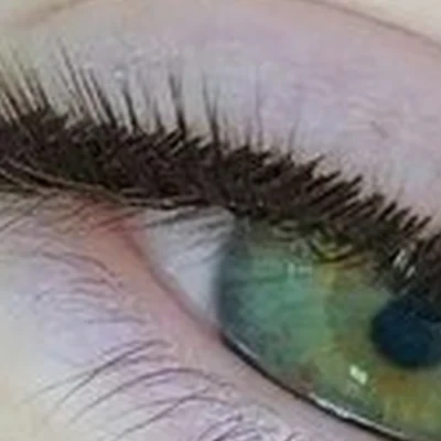 Beauty paradise studio