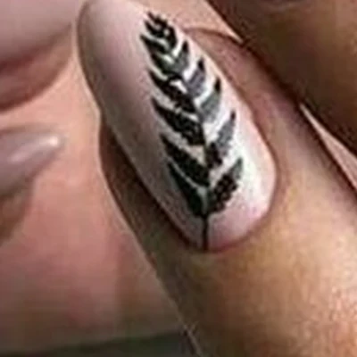 Family club в Астрахани Николая Островского улица, 119а