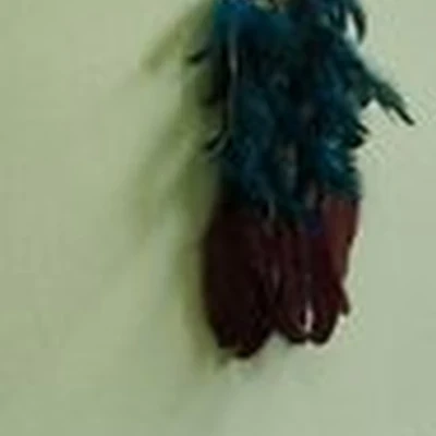 Tomahawk