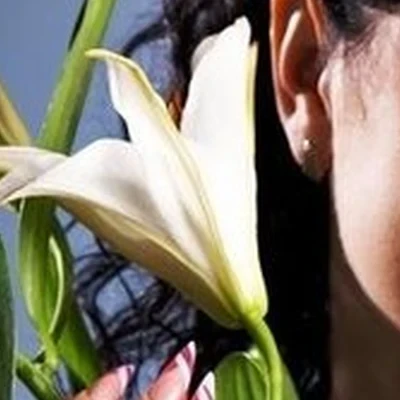Александрия в Братске улица Обручева, 33