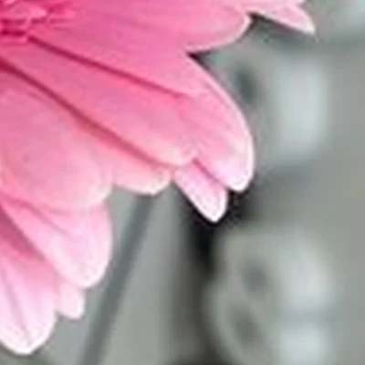 Magic в Вологде улица Герцена, 108