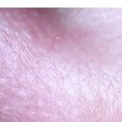 Labret в Жигулёвске Никитинская улица, 15