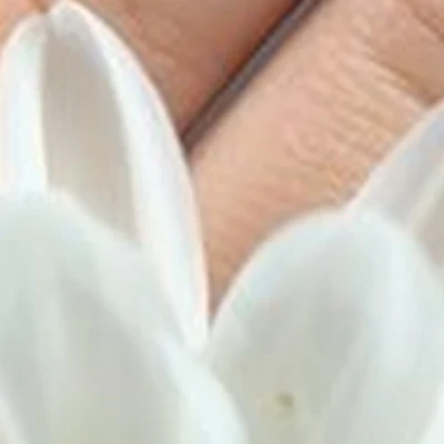 Da Vinci beauty space