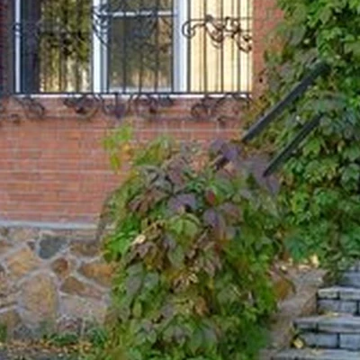 Лайт в Рубцовске проспект Ленина, 25