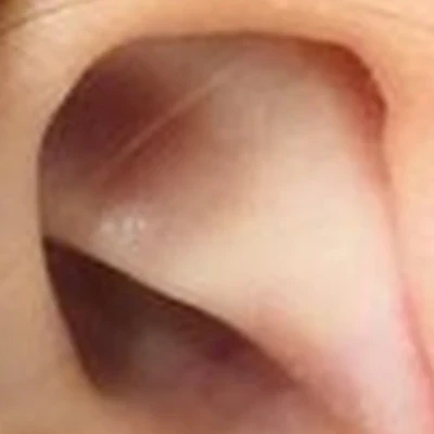 Ёлка в Сургуте улица Есенина, 2