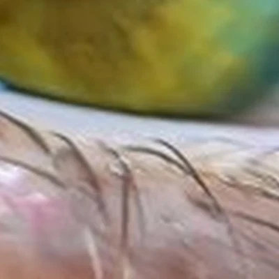 Gold Мастер в Липецке улица Водопьянова, 33