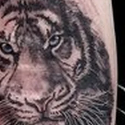 Тату ХМ в Ханты-мансийске Мира, 66