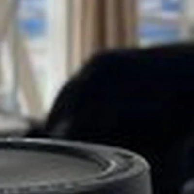 #этовамнетушь