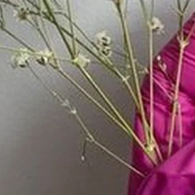 Blesk в Комсомольске-на-амуре улица Дикопольцева, 40/3