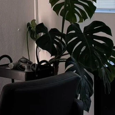 Никольская Арт