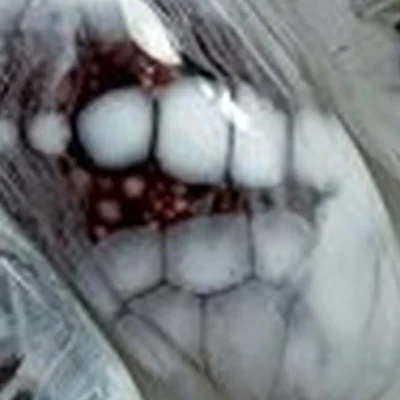 Tati_nails_one