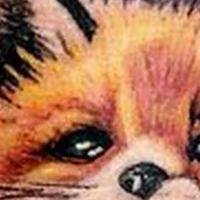 ЛютТату в Сочи улица Ленина, 219/23Б