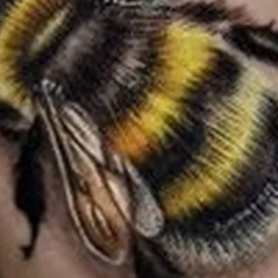 Синяя Борода в Краснодаре Волжская улица, 2