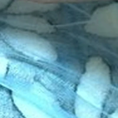 Кинезио в Северске улица Калинина, 35