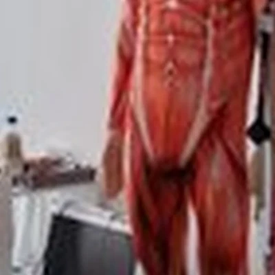 Кинезио кабинет в Санкт-петербурге Парфёновская улица, 6 к2 ст1