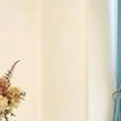 Dr. Жулебино