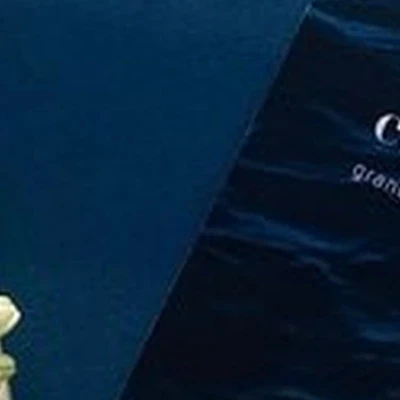 Grand Float в Барнауле переулок Геблера, 31