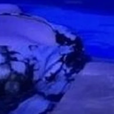 Море&СПА в Новоуральске Спортивная улица, 4