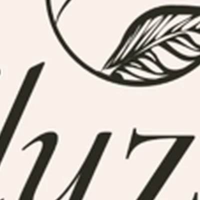 "FLYZI"