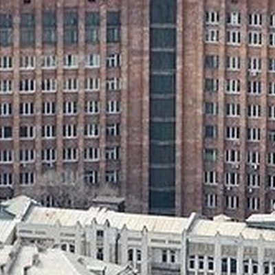 Ana Shuga