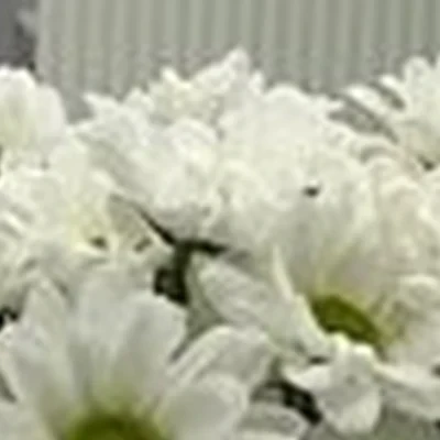 Bliki в Екатеринбурге Кунарская улица, 14 к1