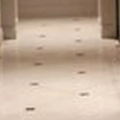 Delete в Клинцах улица Александрова, 1