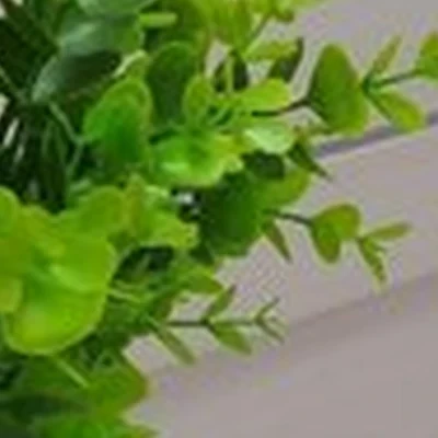 Lasermed в Нижневартовске Пермская улица, 1в