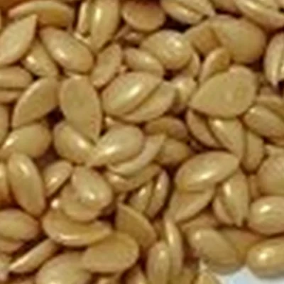 В гармонии с телом