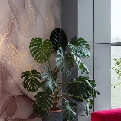 Beauty Hall Groupp в Воронеже Россия, Воронеж, улица Революции 1905 года, 82И, 3 этаж