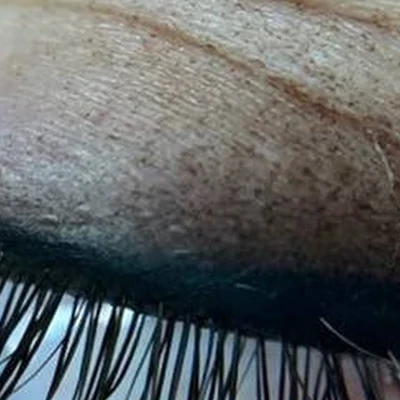 BloomEl в Кудровом Россия, Ленинградская область, Всеволожский район, Заневское городское поселение, Кудрово, Солнечная улица, 12, 1й этаж Вывеска смотрит на дорогу