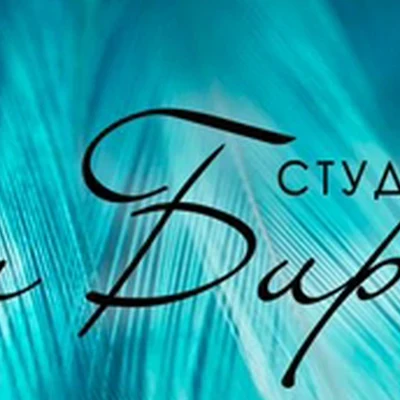 Студия взгляда Ирины Бирюковой