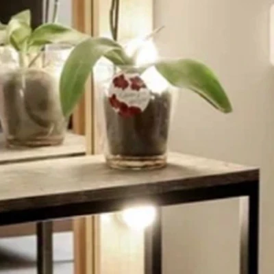 LIBRA.by Maria Nadezhkina