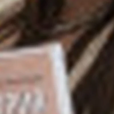 АННА ПЛАСТУНОВА