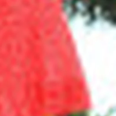 Анна Хорошоженова