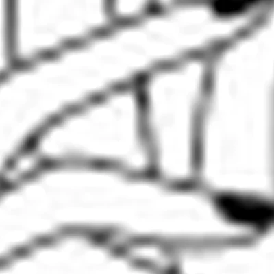 Студия маникюра и педикюра